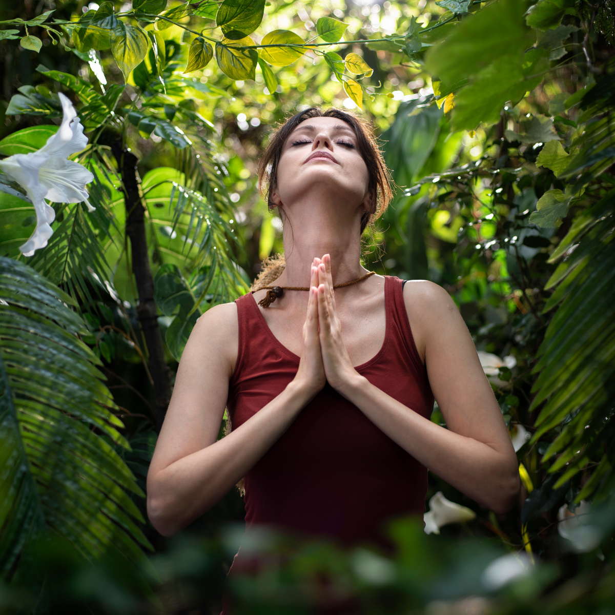 The Healing Power Of Forest Air