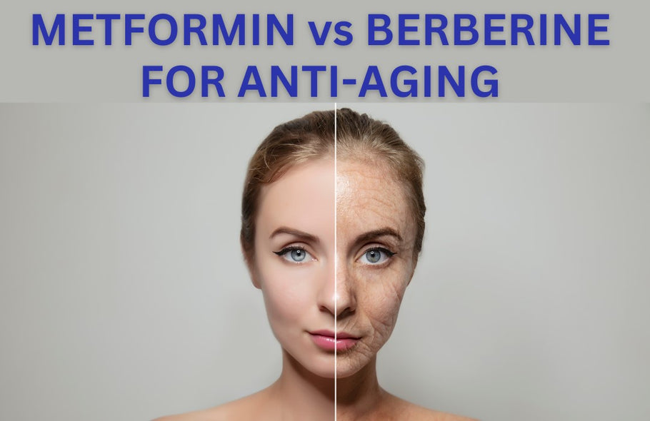 Metformin vs Berberine as an Anti-Aging Treatment