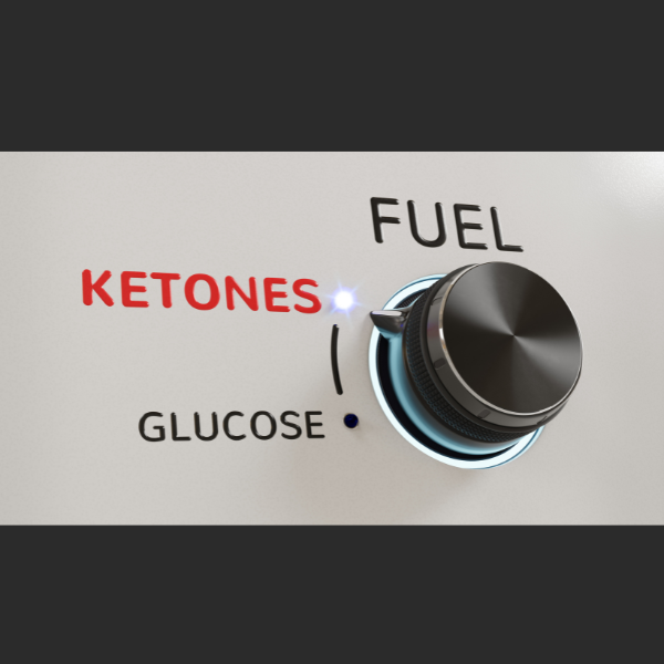 The Ketogenic Path: Unraveling the Health Effects of Ketone Production through Low Carb Diet