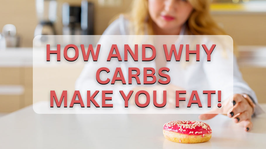 How and Why Carbs Make You Fat!
