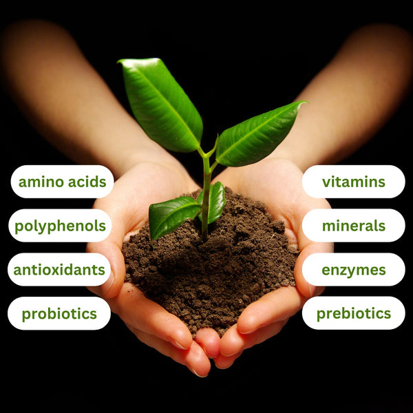 Embracing the Primordial Nutritional Boost: Humic and Fulvic Acids - Brad King, MS, MFS